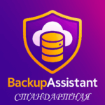 Лицензия (стандартная)